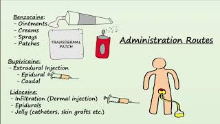 Local Anesthetics  Mechanism Indications amp Side Effects [upl. by Nasas]