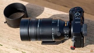 Panasonic 100400mm review for wildlife photography [upl. by Kilam229]