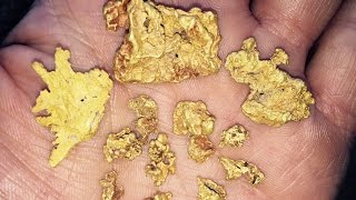 HUGE GOLD HAUL 1 OUNCE of NUGGETS found Metal detecting w Minelab GPZ7000 [upl. by Htederem515]