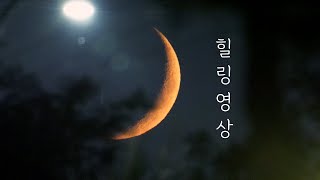 풀벌레 소리와 초승달 힐링 영상입니다 The crescent moon amp Night Ambient Sound filmed in KOREA [upl. by Abehs453]