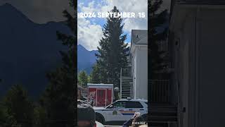 2024 September 15 Bear in downtown Canmore [upl. by Curtis]