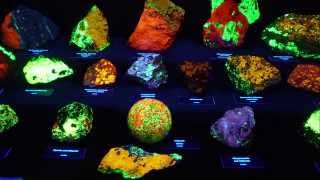 FLUORESCENT MINERALS DISPLAY  GLOW IN THE DARK ROCKS [upl. by Nert]