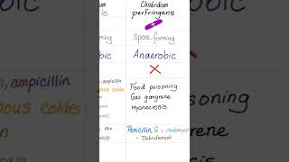 Clostridium perfringens Food poisoning Gas gangrene Muscle Necrosis MyonecrosisMicrobiology🧫 [upl. by Sudbury]