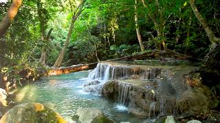 10 Hours Small Waterfall in the forest Relaxing Nature Sounds Waterfall White Noise for Sleeping [upl. by Ahsena528]