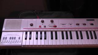 Casio MT40 keyboard sleng teng riddim [upl. by Tansey]