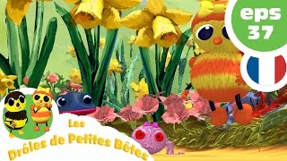 DRÔLES DE PETITES BÊTES  EP37  Les caprices dune fée [upl. by Anilek]