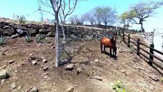 Rancho en Venta en Amatitan Jalisco [upl. by Drusus892]