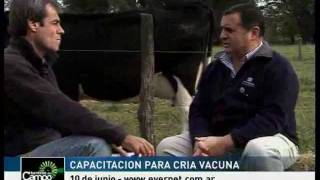 Manual de Consulta AgropecuarioEmilio Vernet [upl. by Assitruc209]