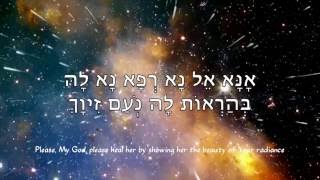 Yedid Nefesh Pursa יְדִיד נֶפֶש [upl. by Armin870]