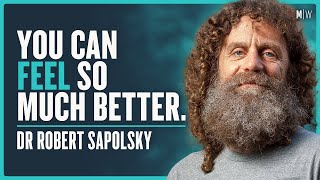 How To Beat Stress amp Improve Your Quality Of Life  Dr Robert Sapolsky [upl. by Paulie45]