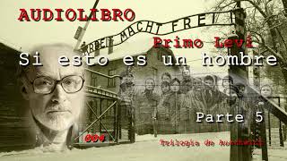 Audiolibro  Si esto es un hombre  Primo Levi  Voz Real  Parte 5 [upl. by Thetisa]