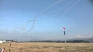 Snowbirds 2012 Battle of Britain pass [upl. by Tunk]