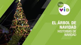 El primer árbol de navidad Historias de Navidad 🎄  Tele VID [upl. by Cirdahc]