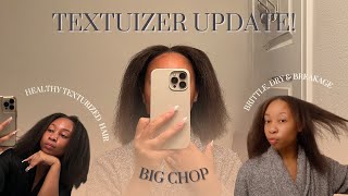 Texturized my 4C Hair  1 Year Update Had to do a Big Chop Lessons amp Regrets  BeeSaddity TV [upl. by Iline]