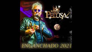 EL REY PELUSA ENGANCHADO 2021 [upl. by Sherlocke]