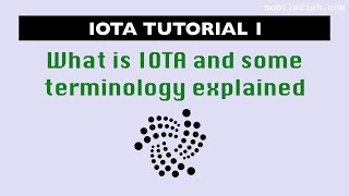 IOTA tutorial 1 What is IOTA and some terminology explained [upl. by Berrie513]