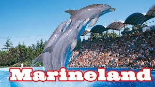 Аквариум Marineland Антиб Aquarium Marineland Antibe [upl. by Kizzee480]