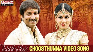 Choosthunna Song  Mogudu Video Songs  Gopichand Taapsee [upl. by Yeslehc]