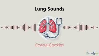 Lung Sounds Coarse Crackles [upl. by Jehoash634]