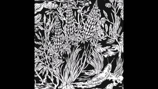 Eternal Tapestry  Wild Strawberries 2015 Full Album [upl. by Rehc]