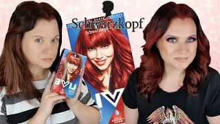 SHWARZKOPF LIVE 035 Real Red Hair Dye Application  Brunette To Red  Clare Walch [upl. by Oibaf370]