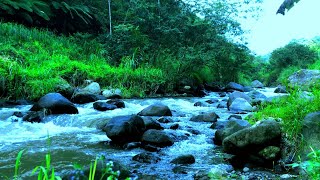 Relaxing river sound of mountain streams for deep sleep mind refreshing stress relief and yoga [upl. by Kciv642]