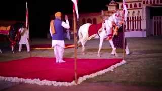 JAIPUR FESTIVAL DU CHEVAL QUI DANSE INDIA 2014 RAJASTHAN [upl. by Joseph203]