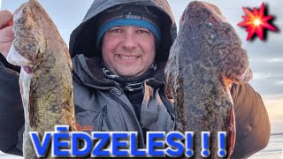 Peipusa džokeri  Vēdzeles 190224 [upl. by Crane33]