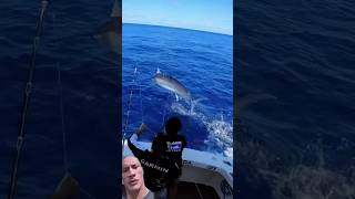 Perlawanan ikan marlin fishing blackmarlin marlins marlinfishing fishing fishingvideo [upl. by Sell]