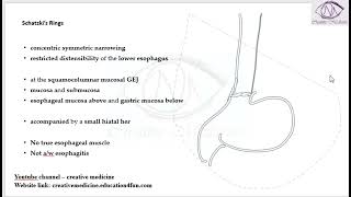 Lec 2 Schatzki’s Rings Clinical Features mp4 [upl. by Dulcine417]