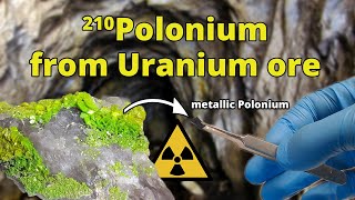 Polonium210 from Uranium Ore  Nuclear Chemistry [upl. by Alyahc863]