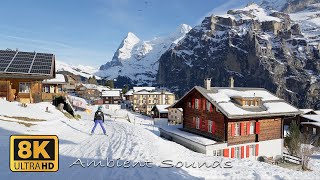 Mürren Winter Switzerland 8K [upl. by Nylehtak]