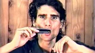 How to Play the Harmonica Bending Notes on Harmonica [upl. by Kra]