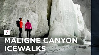 Maligne Canyon Icewalks  Jasper National Park [upl. by Cila253]