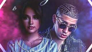 BECKY G FT BAD BUNNY MAYORES EXTENDED REMIX DJ JHAEL RDZ 2017 [upl. by Nichy]