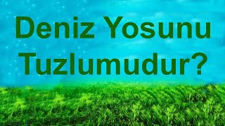 Gübre Analizi Nasıl Yapılır Deniz Yosunu Gübresi [upl. by Mabelle632]