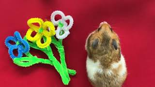 🐹Hamster and Flowers🌸 made of Pipe cleaner [upl. by Gianina]