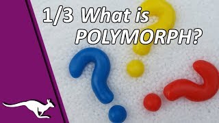 What is Polymorph  InstaMorph Polydoh  Polymorph 13 [upl. by Devinne]