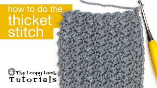 Crochet Stitch Tutorial  How to do the Thicket Stitch [upl. by Livingstone765]