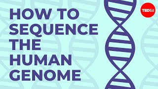 How to sequence the human genome  Mark J Kiel [upl. by Solley]