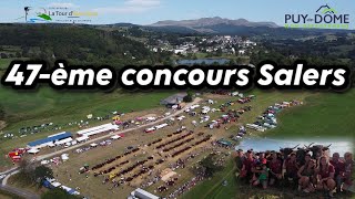 47 ° Concours SALERS à La Tour dAuvergne [upl. by Kcirdef357]