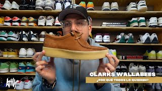 Clark’s Wallabees Cup Reseña  En Pies [upl. by Ecinerev169]