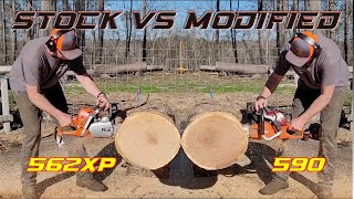 Husqvarna 562XP vs ported Echo 590 Timber Wolf [upl. by Niltiak]