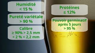 Lorge brassicole  des critères techniques aux filières locales [upl. by Sseb]