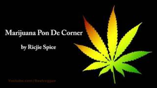 Marijuana Pon De Corner  Richie Spice Lyrics [upl. by Nosduj]