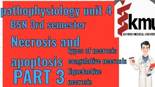 pathophysiology unit 4 BSN 3rd semester part 3 Necrosis and apoptosis types of necrosis coagulative [upl. by Hubing]