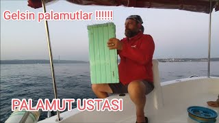 İSTANBUL ÇAPARİ İLE PALAMUT AVI  KARADENİZ AÇIKLARINDA PALAMUT OYMAKLARI BAŞLADI [upl. by Mason959]