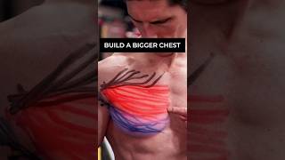 STOP Messing Up Chest Training EASY FIX [upl. by Fuller11]