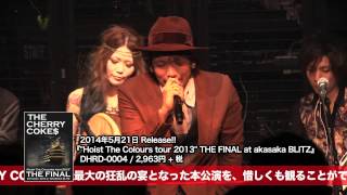 『quotHoist The Colours tour 2013quot THE FINAL at akasaka BLITZ』Trailer [upl. by Carmon]