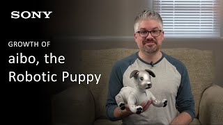 Learn How AI Provides aibo Owners with a Truly Unique Experience  aibo [upl. by Seana]